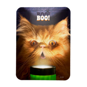 Imán Gato con linterna