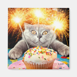 Imán Gato Con Pastel De Esparkler