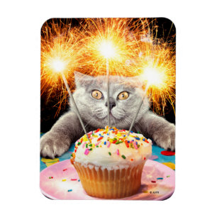 Imán Gato Con Pastel De Sparkler