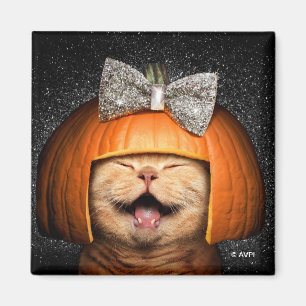 Imán Gato Con Pelo De Calabaza