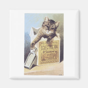 Imán Gato de aceite eléctrico