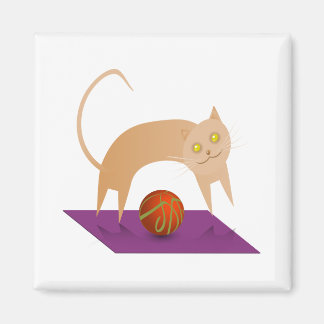 Imán Gato de canela