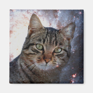 Imán Gato de espacio