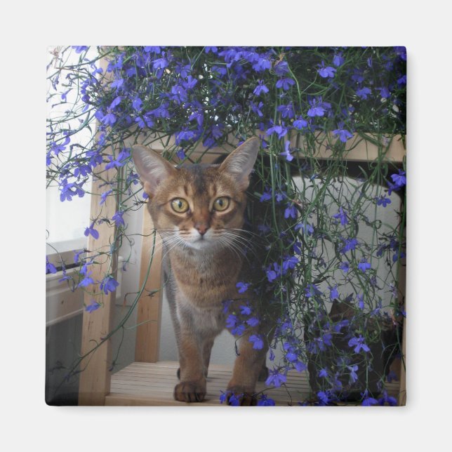 Imán Gato de flores (Frente)