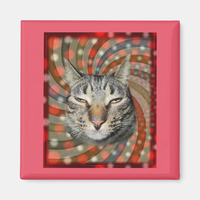 Imán Gato de Guay - ¡TIENES EL TÍTULO DE TU regalo! (Frente)