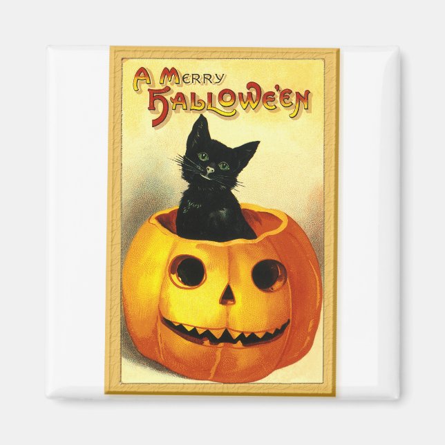 Imán Gato de Halloween sentado en Jack O Lantern (Frente)
