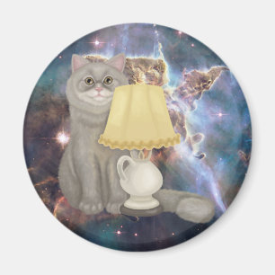 Imán Gato de historia genial