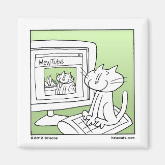 Imán Gato de Internet