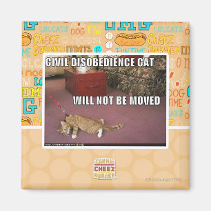 Imán Gato de la desobediencia civil