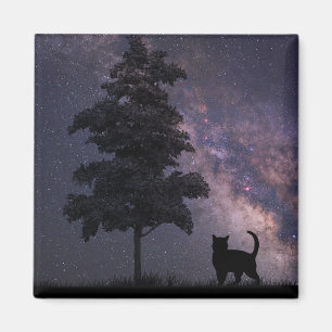 Imán Gato de la noche