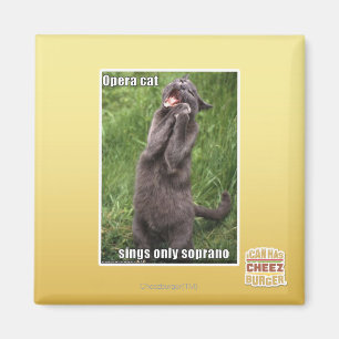 Imán Gato de la ópera
