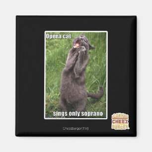 Imán Gato de la ópera