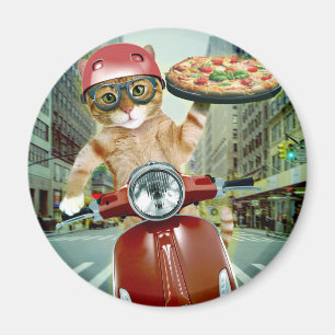 Imán Gato de la pizza - gato - entrega de la pizza