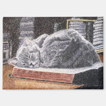 Gato de librería