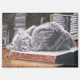 Imán Gato de librería