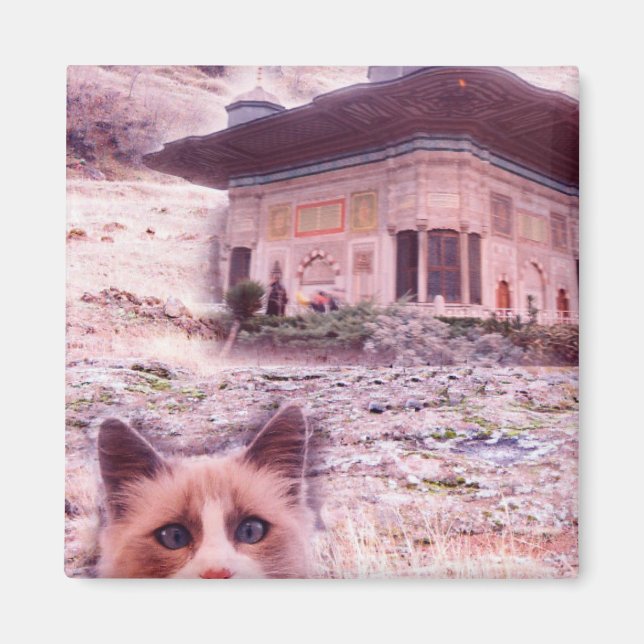 Imán Gato De Magnate De 5,1 Cm Square (Frente)