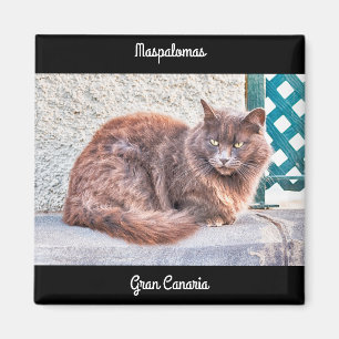 Imán Gato de Maspalomas