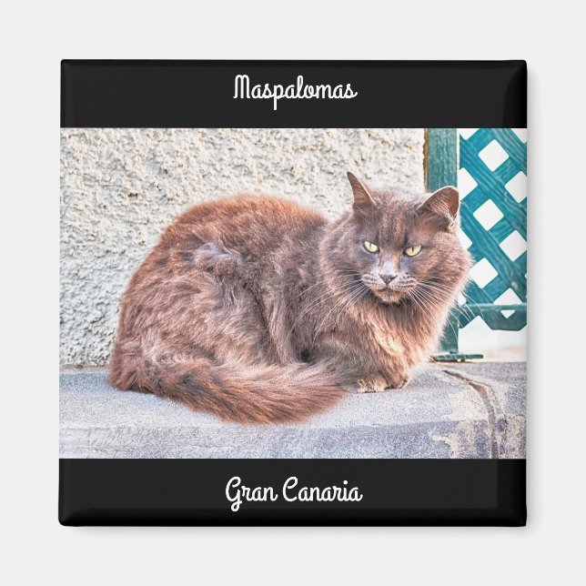 Imán Gato de Maspalomas (Frente)