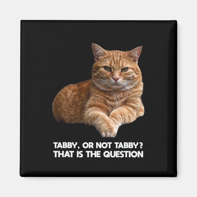 Imán Gato de Naranja cutáneo (Frente)