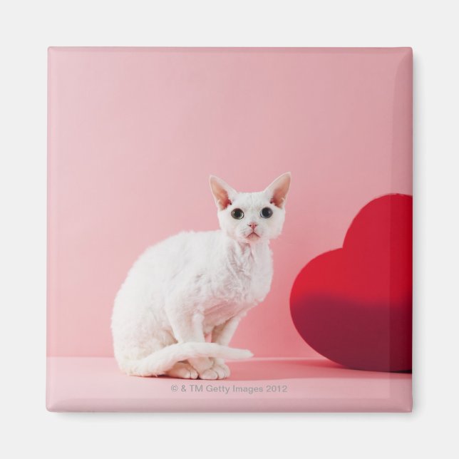 Imán Gato de ojos extraños (Frente)