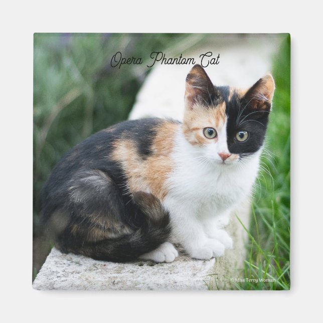 Imán Gato de ópera fantasma (Frente)