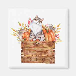 Imán Gato de otoño y calabazas en caja