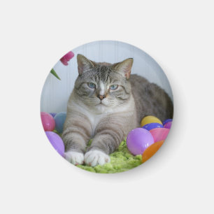 Imán Gato de Pascua Pegatina redondo clásico Mason Jar