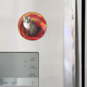 Imán Gato de Perla en Afgano