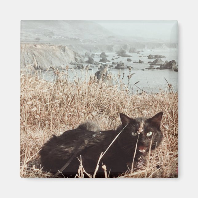 Imán Gato de playa negra (Frente)