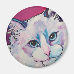 Imán Gato de Ragdoll