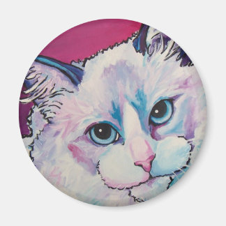 Imán Gato de Ragdoll