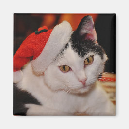 Imán Gato de Santa Paws
