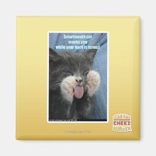 Imán Gato de Smartmouth