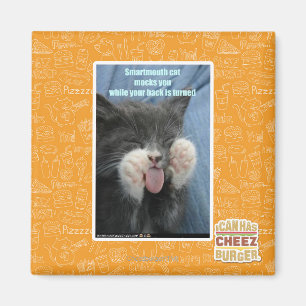 Imán Gato de Smartmouth