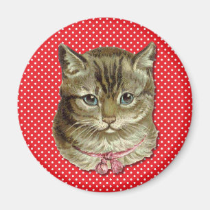 Imán Gato de Tabby