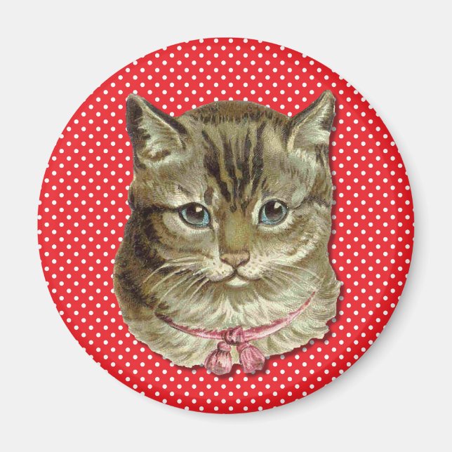 Imán Gato de Tabby (Frente)