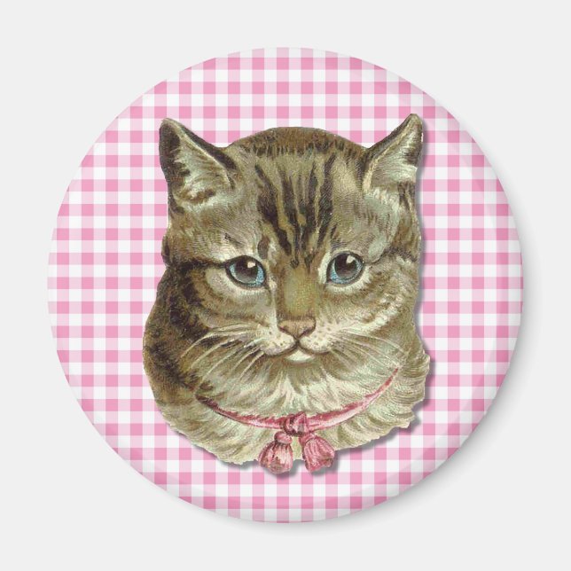 Imán Gato de Tabby (Frente)