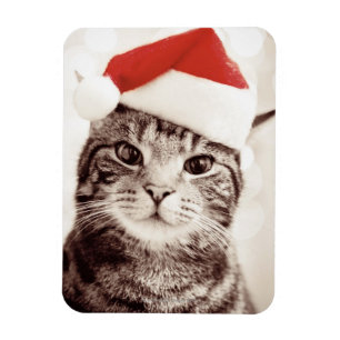 Imán Gato de tabby doméstico con gorra de Navidades roj