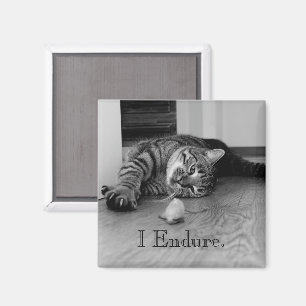 Imán Gato de Tabby estirado, Ratón de Juguete, Sufro