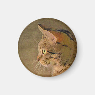 Imán Gato de tabla