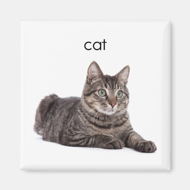 Imán Gato de tabla (Frente)
