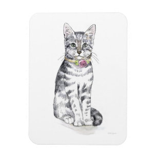 Imán Gato de tabla de ausencias