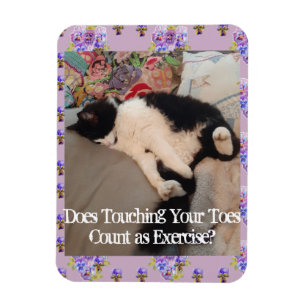 Imán Gato de Tuxedo Dormido Cita graciosa Gatos Magnet