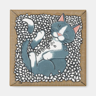 Imán Gato de Tuxedo gris durmiendo en caja de cacahuete