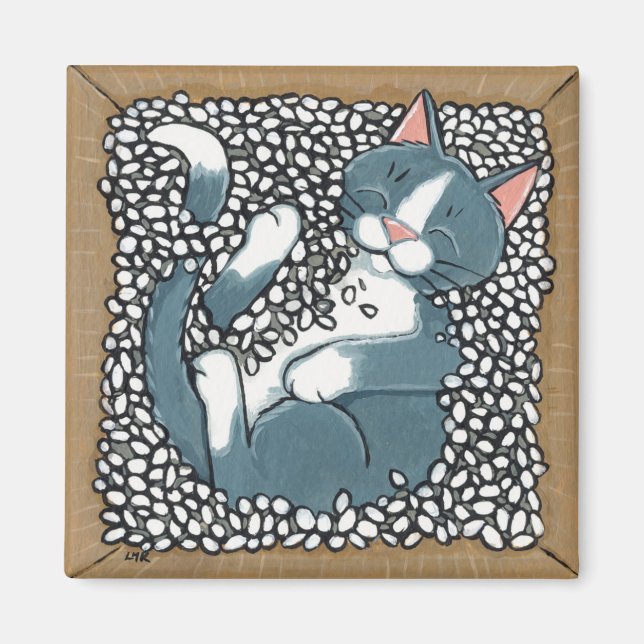 Imán Gato de Tuxedo gris durmiendo en caja de cacahuete (Frente)