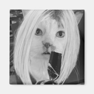 Imán Gato de vino