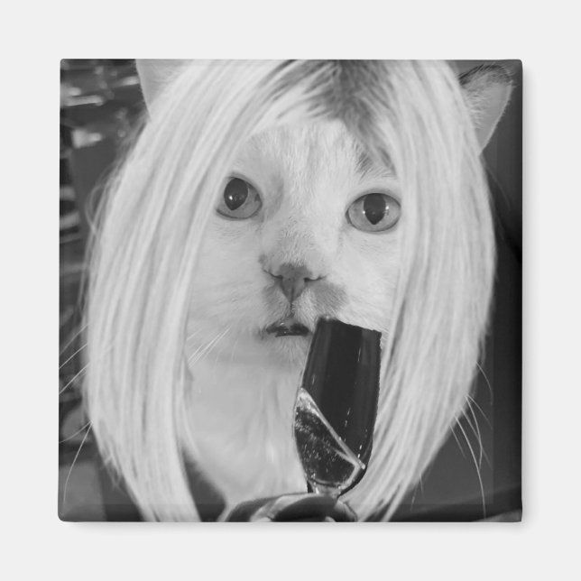 Imán Gato de vino (Frente)