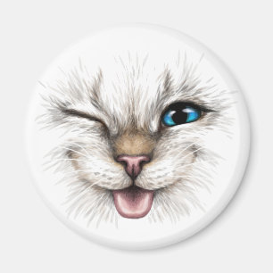 Imán Gato de Winking