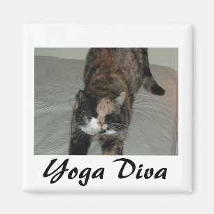 Imán Gato de yoga