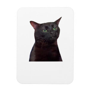 Imán Gato de zumbido hacia fuera, hacia fuera